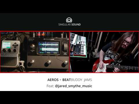 Singular Sound Aeros Loop Studio Stereo Looper Pedal | Sweetwater