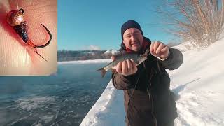Зимний нахлыст на нимфу.  Fly-Fishing.ru на рыбалке.