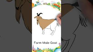 Draw Farm Male Goat | Easy drawing | #drawings #shorts