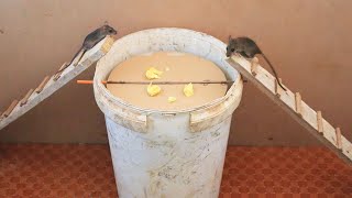 How to Build a Cheap Rat & Mouse Bucket Trap - BroBryceGardens - video  Dailymotion