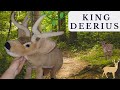 Adoption story of King Deerius