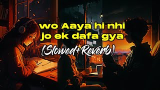 Wo Aaya hi Nahi Jo Ek Dafa Gaya | Instagram Trending Song | Slowed Reverb