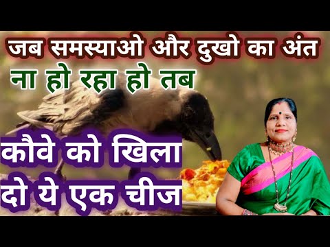 वीडियो: आपको कौवा चूजा मिला है: देखभाल और खिलाने के लिए टिप्स