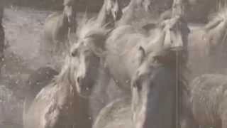 Владимир Тиссен - Остров Крым