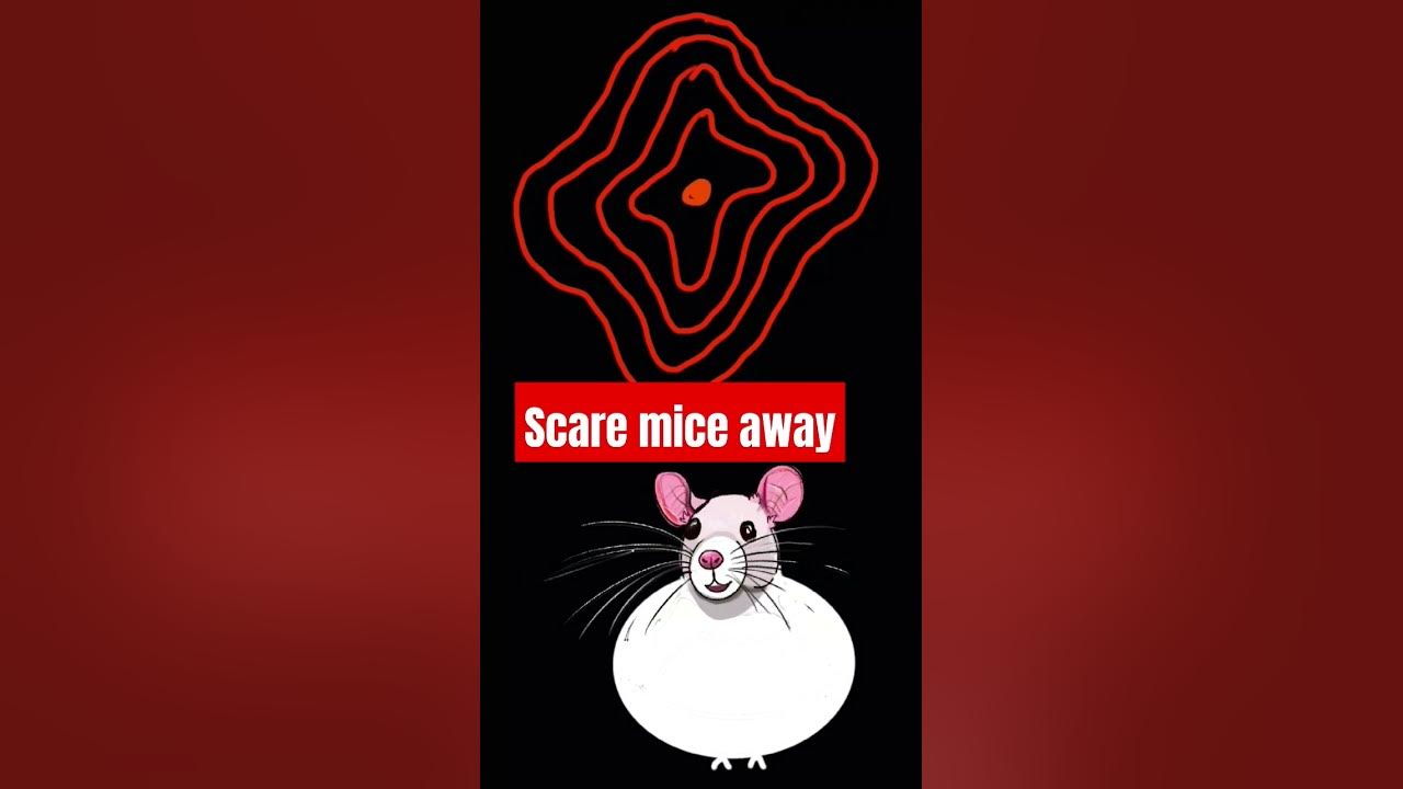 Sounds to scare mice away 10. How to stop those scratching mouse noises. Repeat as needed