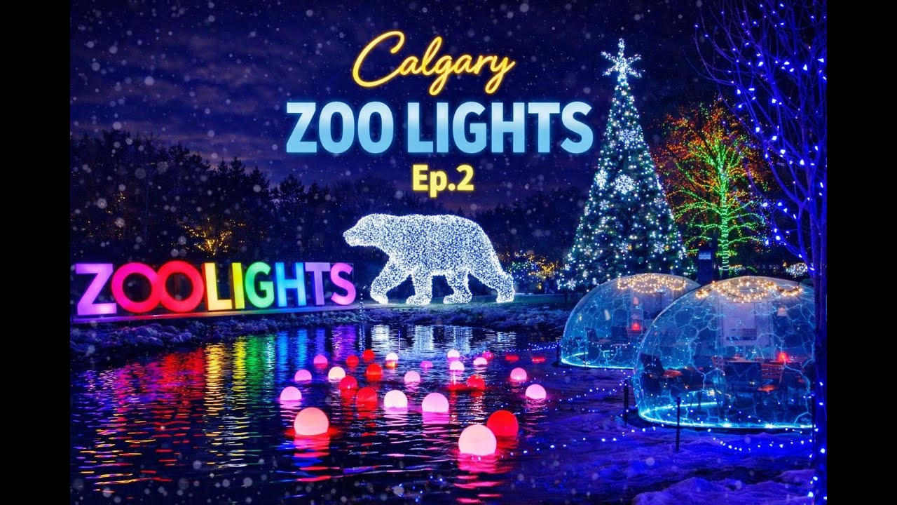 Волшебная снежная ночь в Калгарийском зоопарке с подсветкой | Рождественская атмосфера и музыка ✨...