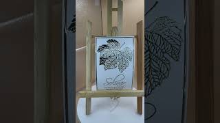 IMG 6007
