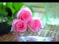 صور باقه من الورد صور باقه من الورد