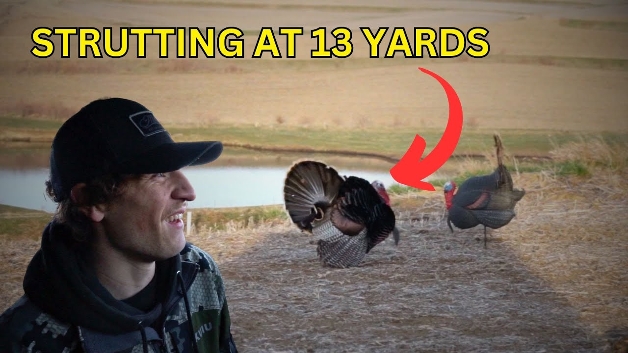 Double Beard Strutting for 5 Minutes at 15 Yards | Nebraska Archery ...