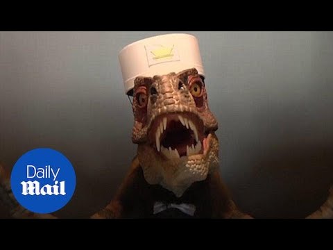 Youtube видео