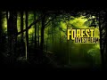 🔴 [LIVE] The Forest – Lạc vào đảo hoang, liệu có sống sót nổi?!