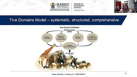 Maddie's Insights: Five Domains Model for Animal Welfare Assessment - webcast