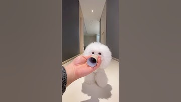 Top Learning Tools for Tech Enthusiasts #shorts #shortsfeed #viralshorts 💥🍓