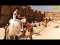 Omar Arnaout | Visiting the pyramids of Egypt