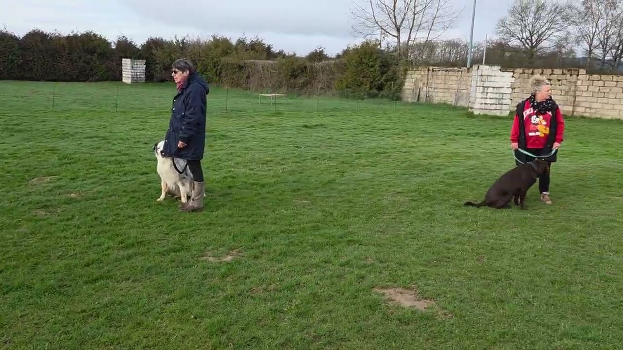 Travail sur le terrain 22 février 2026