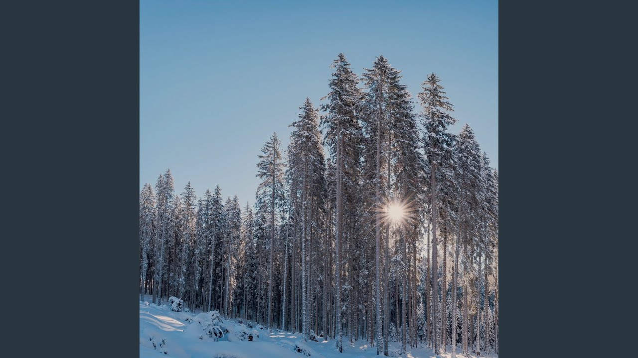 Guarda Pine su YouTube Guarda Pine su YouTube