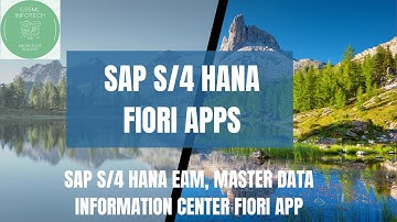 Display Master data information center Fiori app, SAP HANA EAM