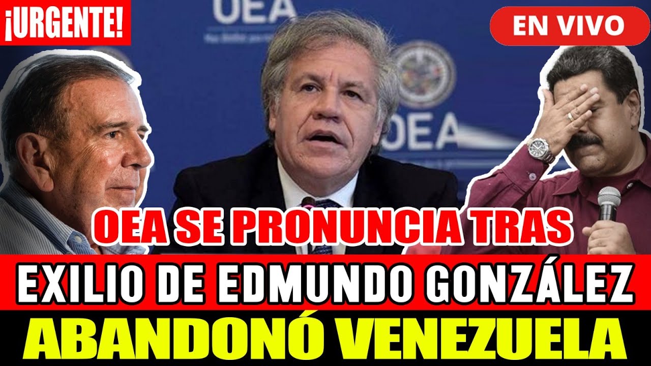 🔴¡URGENTE! OEA SE PRONUNCIA TRAS EXILIO DE EDMUNDO GONZALEZ EN ESPAÑA ...