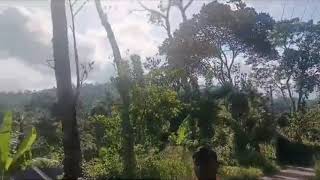 Sham Bhi Khoob Hai Pas Mah Hai Slowed Reverb