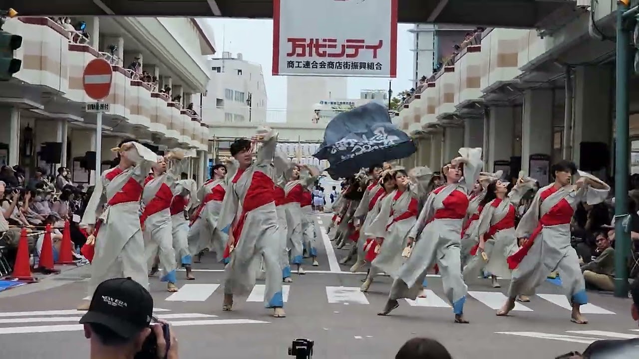 柳葉魚のざわめき 2025.9.13 にいがた総おどり万代シティ十字路メイン会場