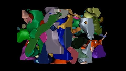 Reconstruction and Simulation of Neocortical Microcircuitry