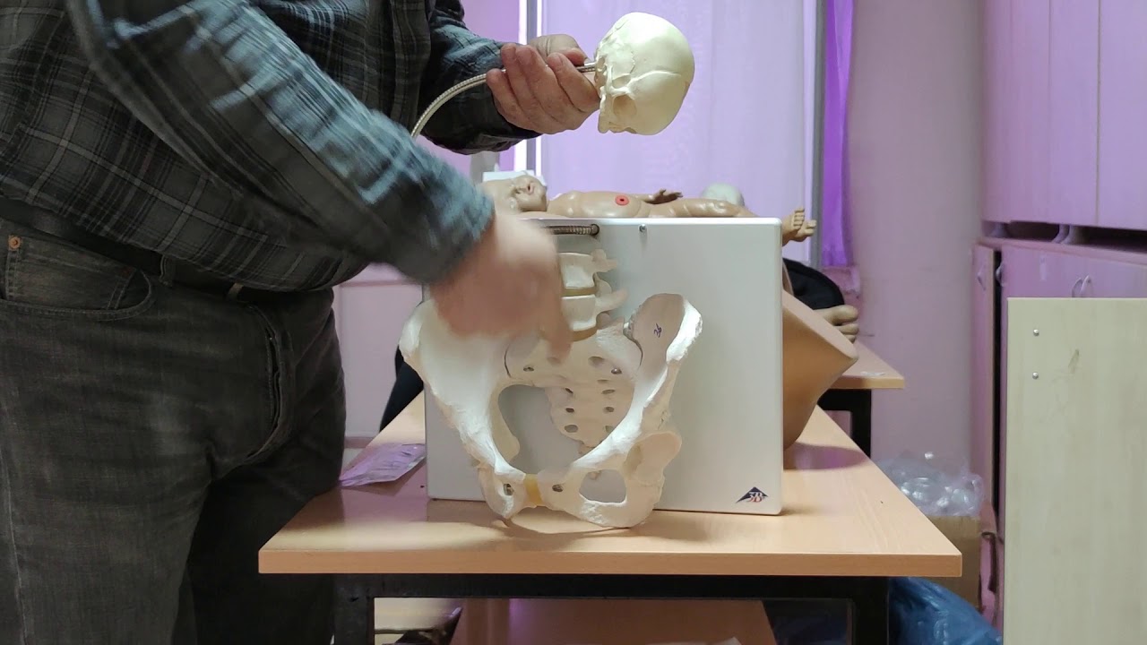 Maket üzerinde normal vajinal doğum 1