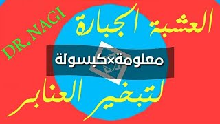 اقتل الأمراض المستوطنة فى عنبر الفراخ بتبخيره بهذه العشبة الجبارة _ معلومة × كبسولة (١)