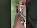 T-Rex Saga Pt 7