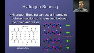Flippin' Science- Topic 3.10 Amino Acids and Proteins