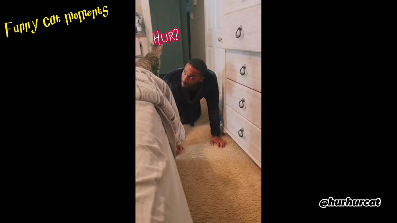 😺Funny CAT MOMENT 😝🥰.