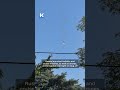 Russian drone shot down over Kyiv