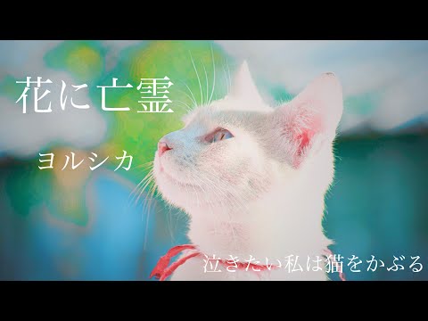 花に亡霊(キー#4) / ヨルシカ(cover)