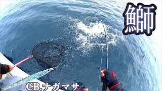 【スミス CB.ナガマサ】オフショアジギングでぷりぷりのブリ！