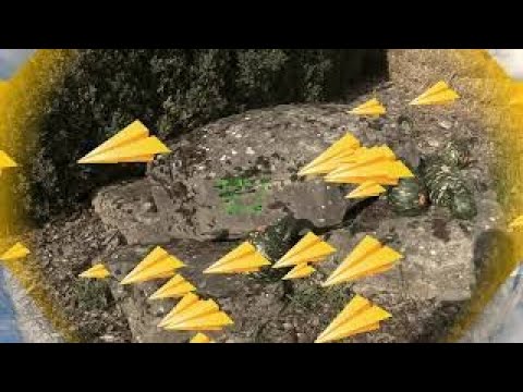 德国生活分享|哪里可以买到有机食品？德国农民无人自助有机农场都有些什么产品？价格很实惠！Selbstbedienungsmarkt in Deutschland