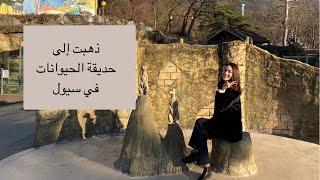 A visit to Seoul Zoo ذهبت إلى حديقة الحيوانات في سيول