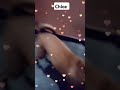 Amma kooda vilaiyaditu irundha epdi iruku pattuus😂 vera ena game la iruku comment pannunga