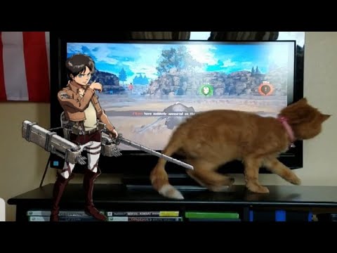 Cat Vs Attack On Titan