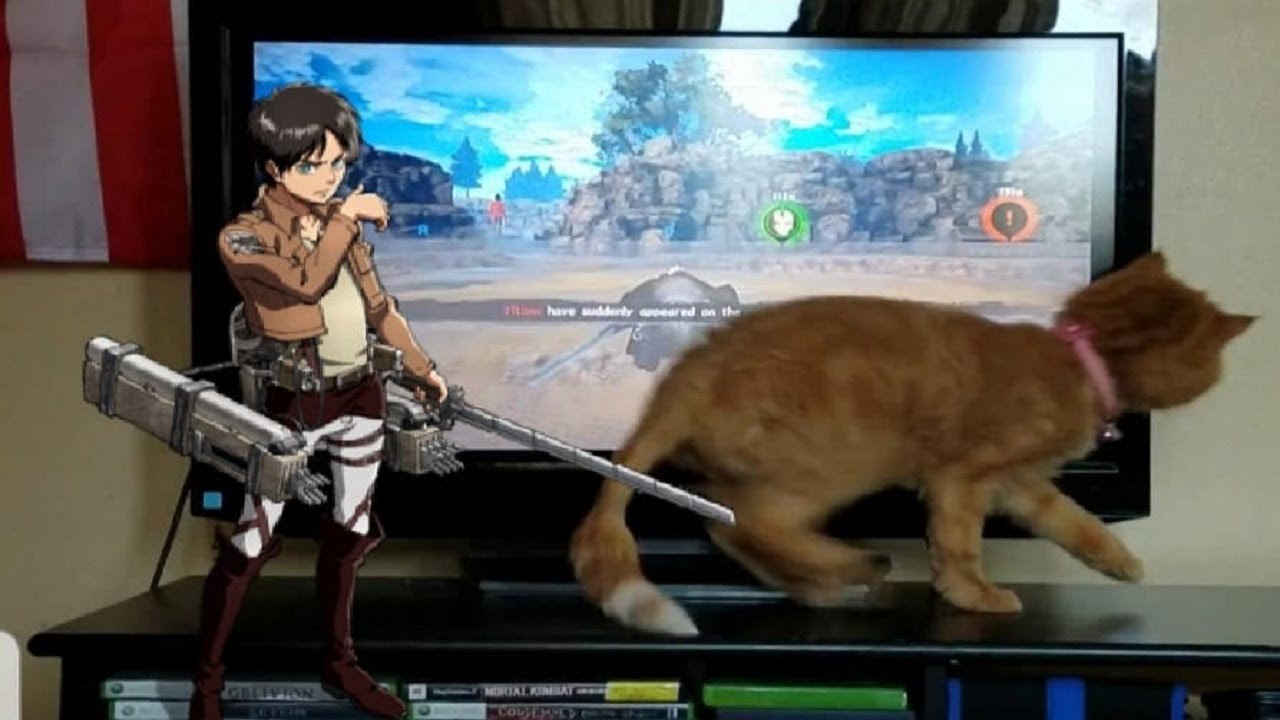 Cat Vs Attack On Titan - YouTube
