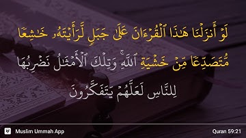 سوره حشر، آیه ۲۱