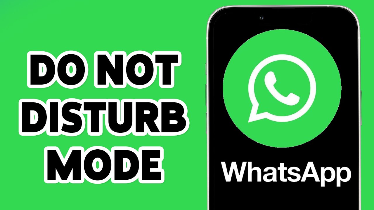 How To Put Do Not Disturb Mode On WhatsApp 2024 WhatsApp DND Mode On how-to-put-do-not-disturb-mode-on-whatsapp-2024-whatsapp-dnd-mode-on