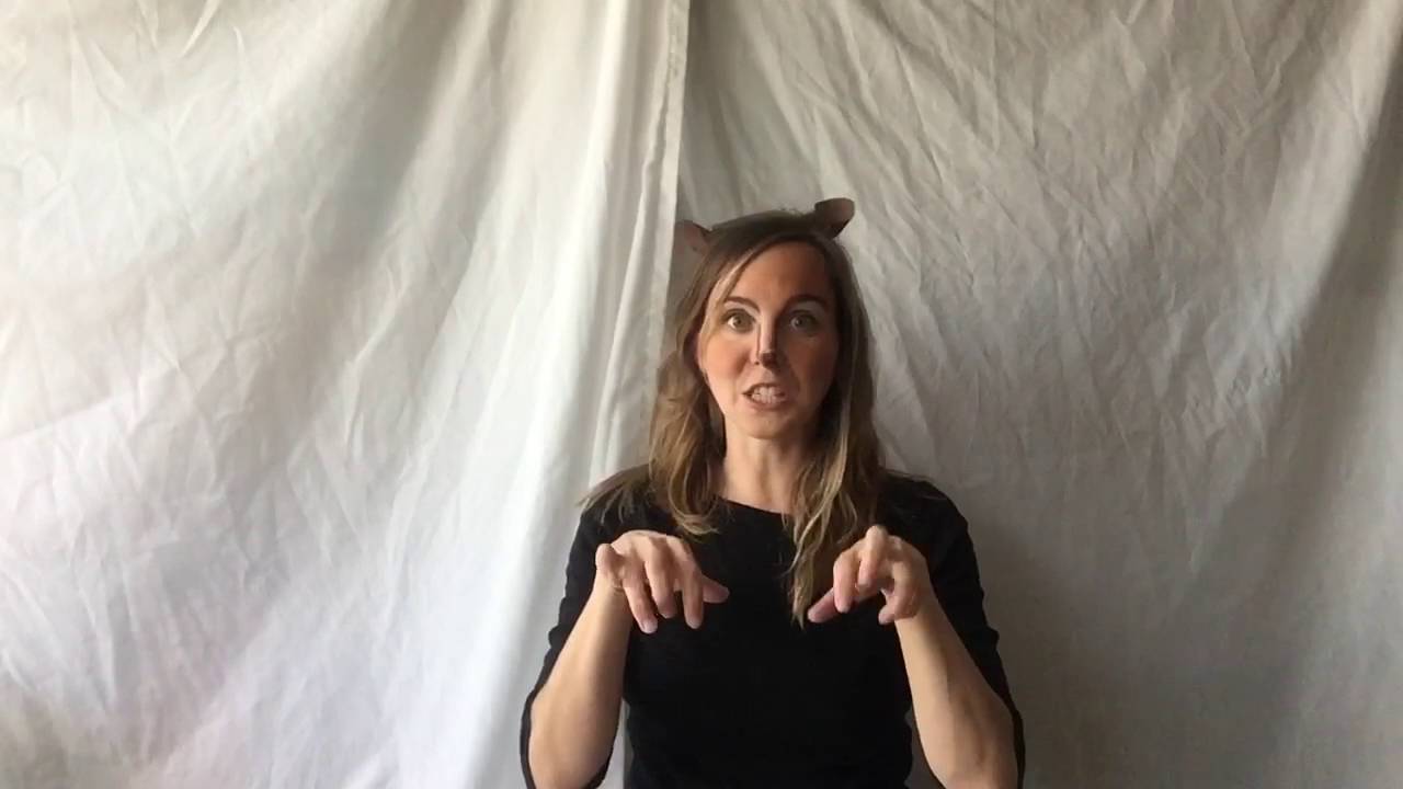 Fall Song For Preschoolers And Toddlers Gray Squirrel Gray Squirrel fall-song-for-preschoolers-and-toddlers-gray-squirrel-gray-squirrel
