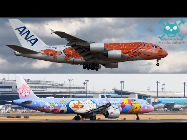 空とぶウミガメとピカチュウ】エアバスA380が3機も！ANA フライング