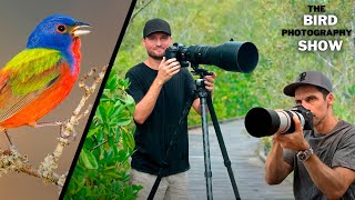 Blown Highlight Rescuing Hacks! | The Only Tripod Head You'll Ever Need? | Spring Madness Is Here!