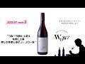 Wine of the Week　今週のワイン　ストニアー　ピノ・ノワール　2018