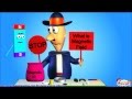 Magnetic Fields and Forces Concepts