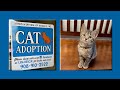 Meet cats for adoption on main street in toms river nj  lida