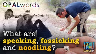 What are Specking, Fossicking and Noodling Opal Words at Lightning Ridge