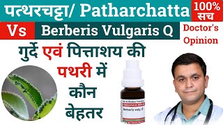Berberis Vulgaris Q & Patharchatta Plant For Kidney Stone - Berberis Vulgaris Homeopathic Medicine