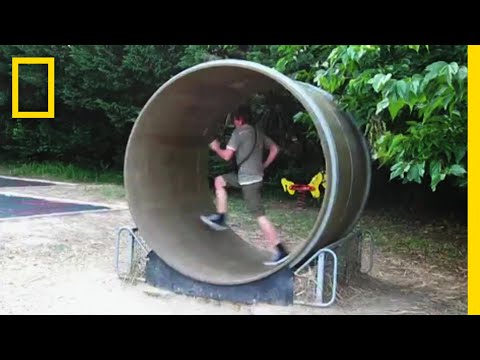 人間にも回し車を回したくなる時がある | バ科学