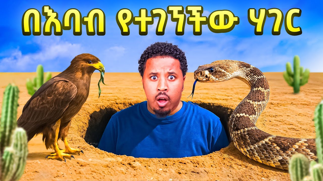 በእባብ የተገኘችው ጉደኛ አስገራሚ ሀገር ገባሁ Abel Birhanu Travel 